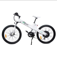 Ecotric Seagull Electric Mountain Bicycle - White